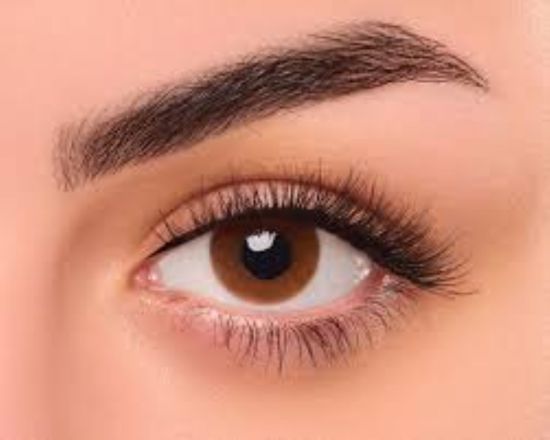صورة عدسات فريش ايز اليومية- ساندي - MK-01366