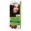 Picture of PALETTE COLOR DARK BROWN 3-0#