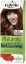 Picture of PALETTE HAIR COLOR NATURALS 6-68 CARAMEL BROWN