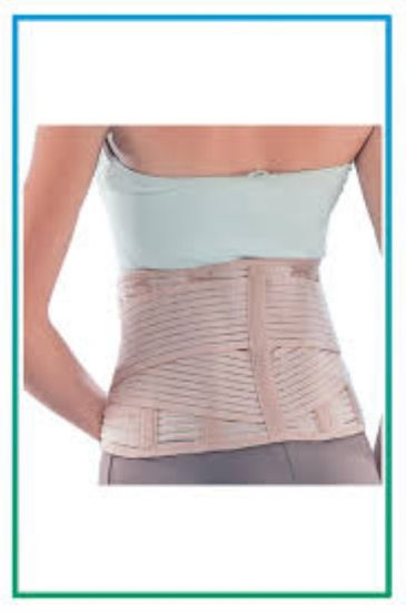 صورة كونوى حزام للظهر 5502 كبير جدا