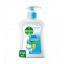 Picture of DETTOL BODY WASH COOL 700 ML