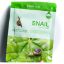 Picture of FARMSTAY VISIBLE DIFFERENCE SNAIL MASK SHEET 23ML