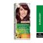 Picture of GARNIER COLOR NATURALS TUBE 4.6 BURGUNDY 55034