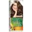 Picture of GARNIER COLOR NATURALS TUBE 6.1 - 55616