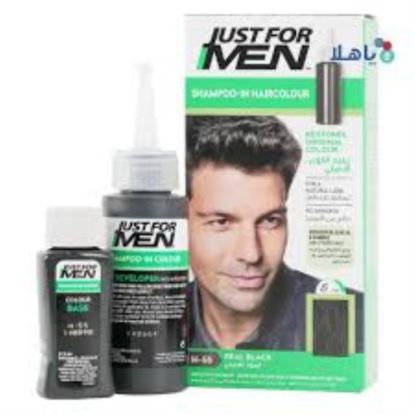 Picture of JUST FOR MEN SHAMPOO HAIRCOLOUR REAL BLACK 2174