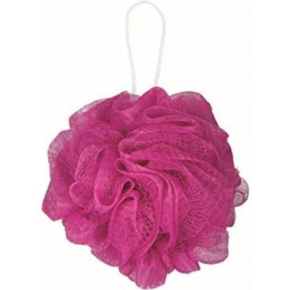 Picture of NESMAT LOFAH#