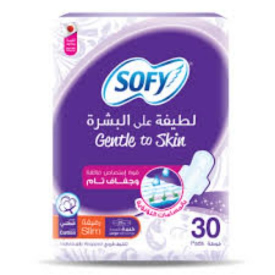 Picture of SOFY GENTLE TO SKIN ANTI BACTERIAL SLIM 29 CM LARGE 10S 1321