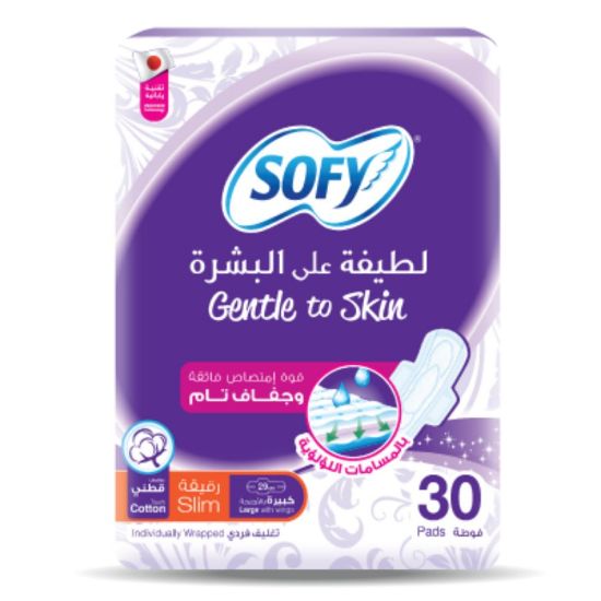 Picture of SOFY GENTLE TO SKIN ANTI BACTERIAL SLIM 29 CM LARGE 28S 2328