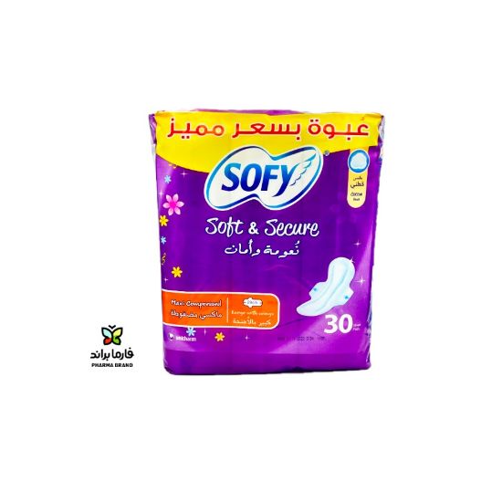 Picture of SOFY LARGE WINGS 6X30 (52712)