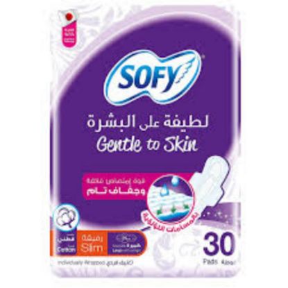 Picture of SOFY SLIM LARGE WINGS GENTEL 29CM 6X 30 PADS 58512-5124