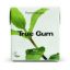 Picture of TRUE GUM CHEWING GUM MINT 21G 2503
