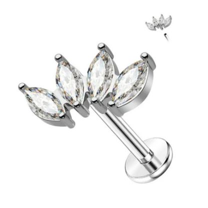 Picture of X8 BODY LUXURY ZIRCON STEEL EARRING FE544