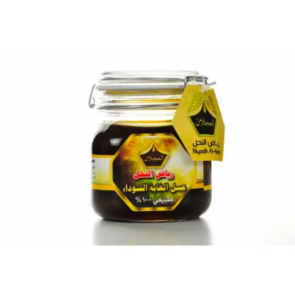 صورة p-3-n-221115-143973 - عسل الغابة السوداء رياض النحل 1000 جرام