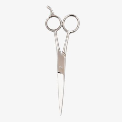 Picture of مقص كبير للشعر 15 سم بقبض BLF 1050/31